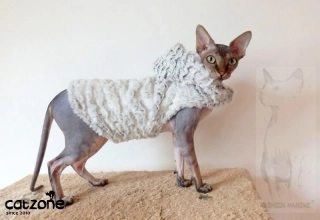 Luxusní bundička pro sphynx